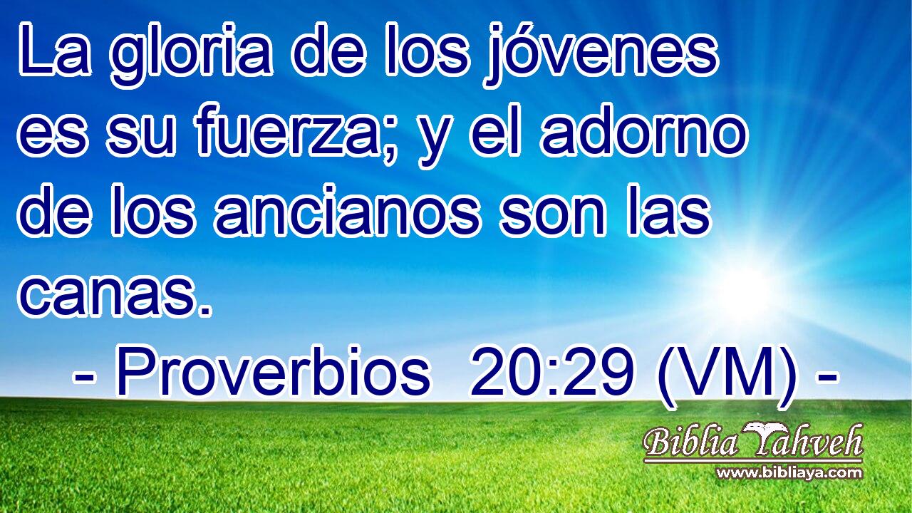  La gloria de los jóvenes es su fuerza; y el adorno de los ancianos son las canas. 
