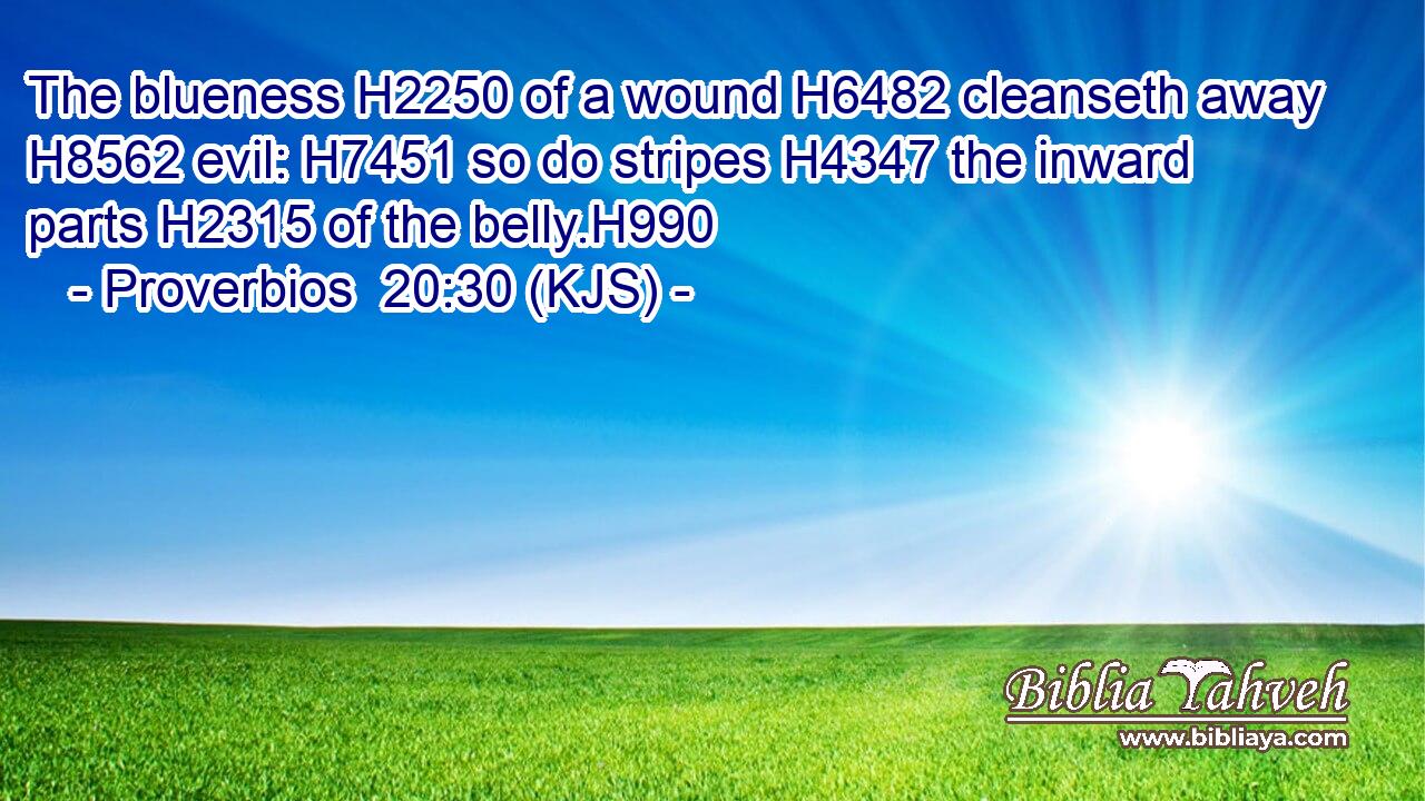 The blueness H2250 of a wound H6482 cleanseth away H8562 evil: H7451 so do stripes H4347 the inward parts H2315 of the belly.H990
