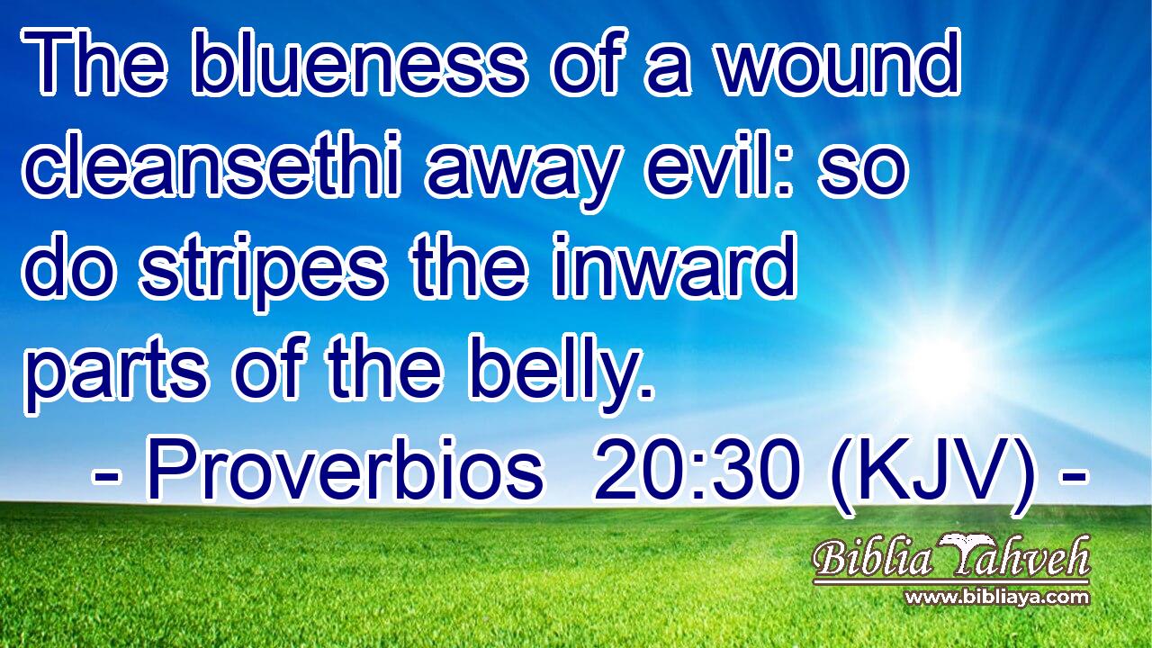 The blueness of a wound cleansethi away evil: so do stripes the inward parts of the belly.