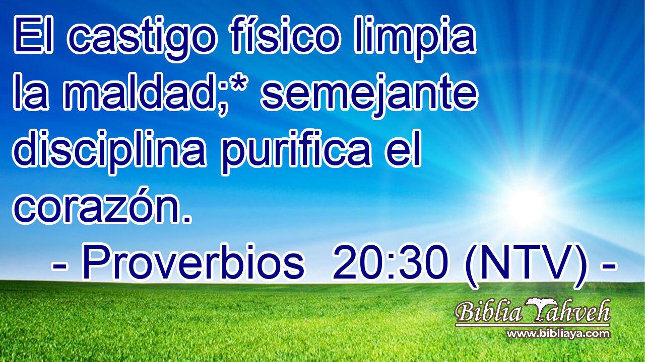 El castigo físico limpia la maldad;* semejante disciplina purifica el corazón.