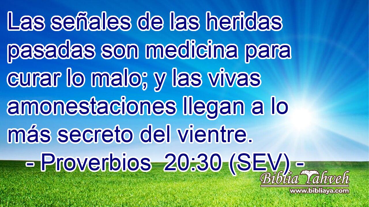 Las señales de las heridas pasadas son medicina para curar lo malo; y las vivas amonestaciones llegan a lo más secreto del vientre.