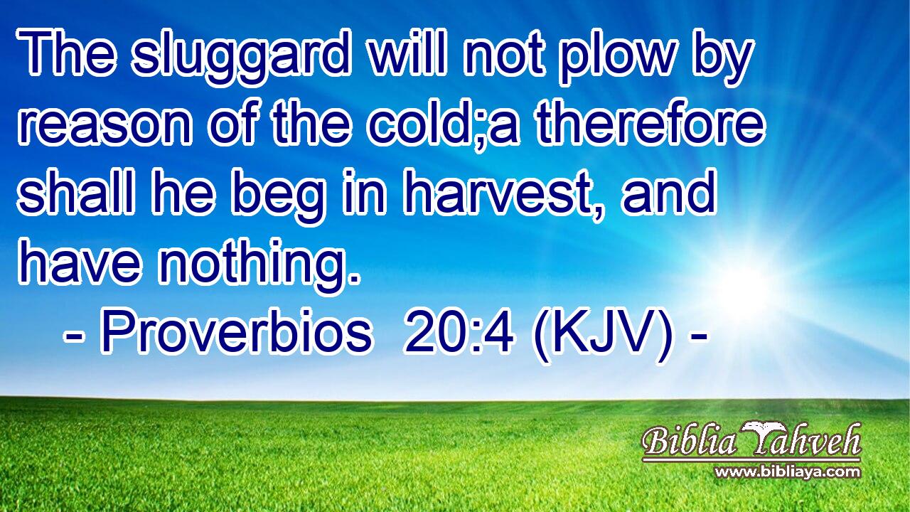 The sluggard will not plow by reason of the cold;a therefore shall he beg in harvest, and have nothing.