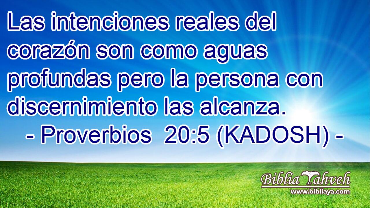  Las intenciones reales del corazón son como aguas profundas pero la persona con discernimiento las alcanza. 