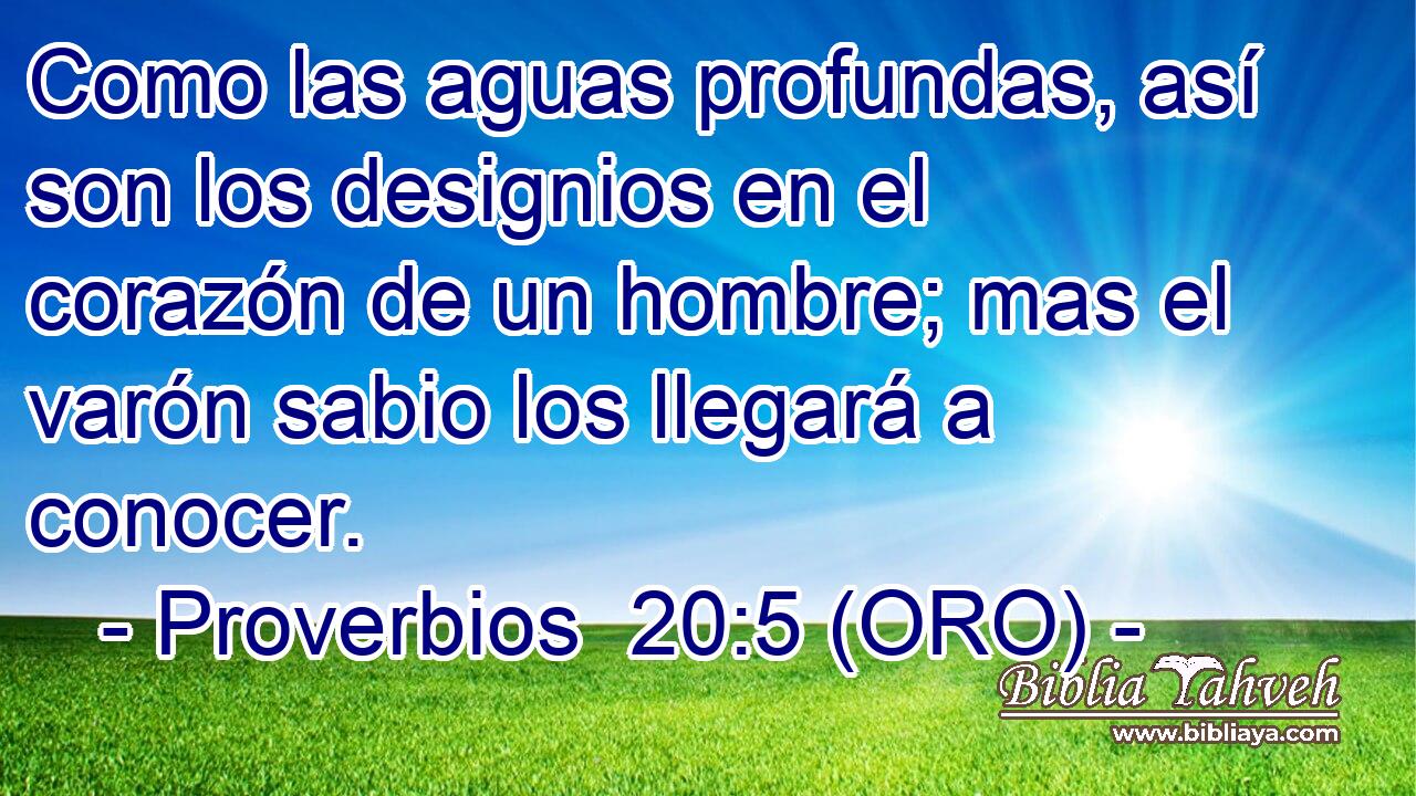  Como las aguas profundas, así son los designios en el corazón de un hombre; mas el varón sabio los llegará a conocer. 