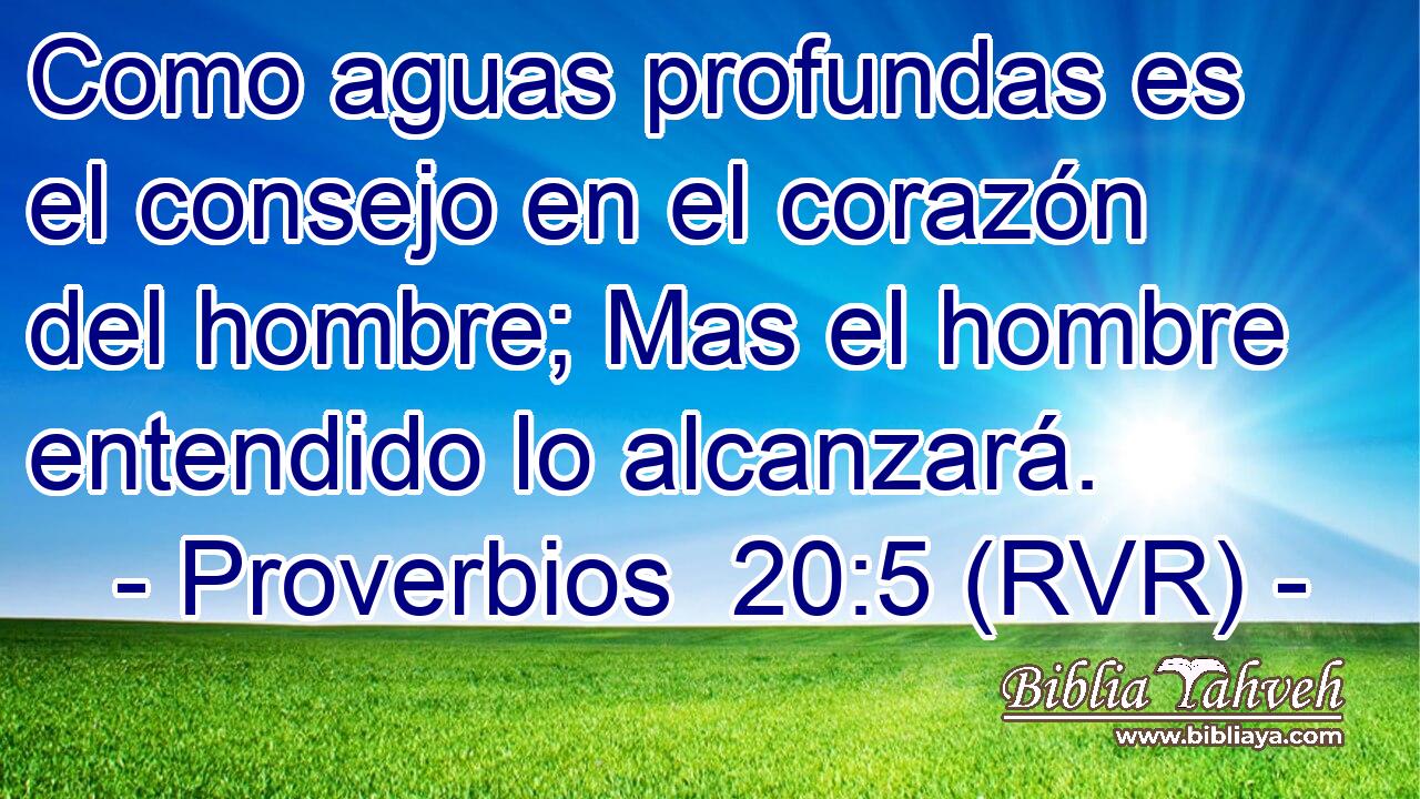 Como aguas profundas es el consejo en el corazón del hombre; Mas el hombre entendido lo alcanzará.