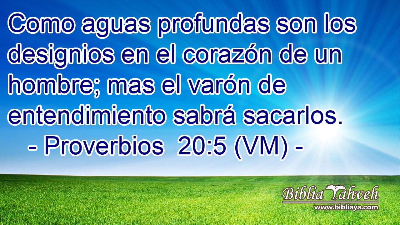  Como aguas profundas son los designios en el corazón de un hombre; mas el varón de entendimiento sabrá sacarlos. 