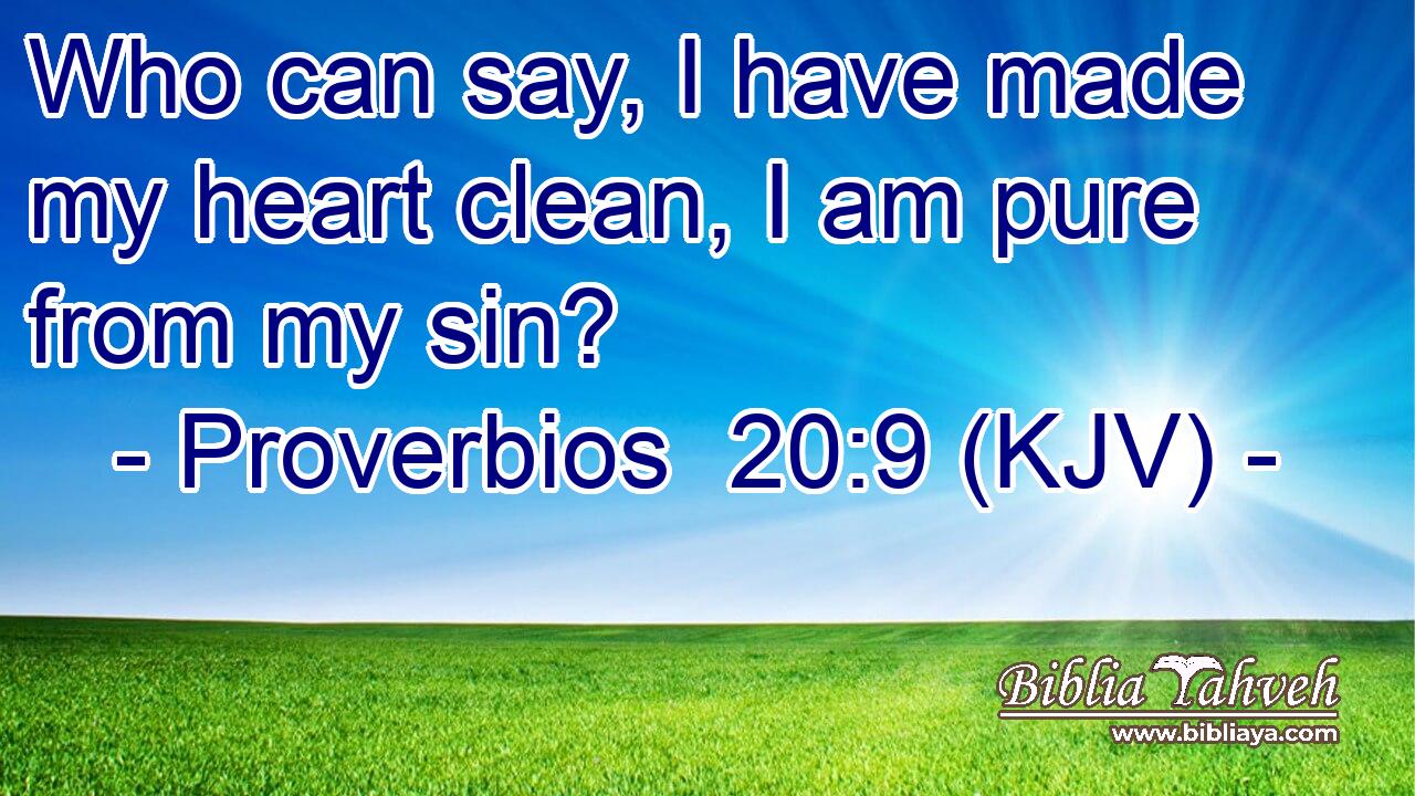 Who can say, I have made my heart clean, I am pure from my sin?