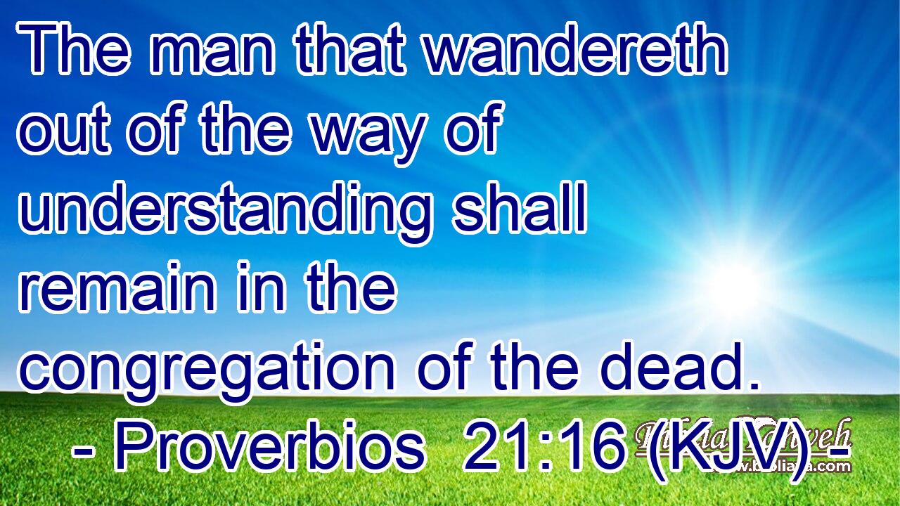 The man that wandereth out of the way of understanding shall remain in the congregation of the dead.