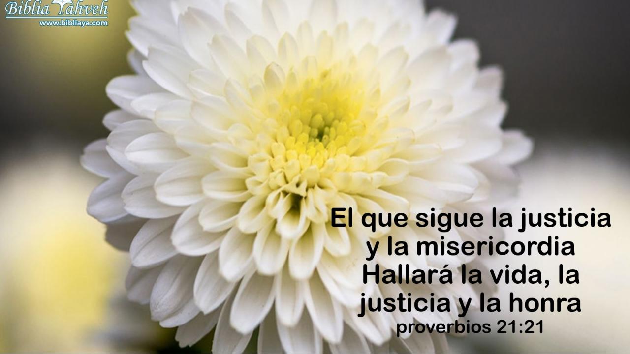 El que busca la justicia y el amor inagotable encontrará vida, justicia y honor.