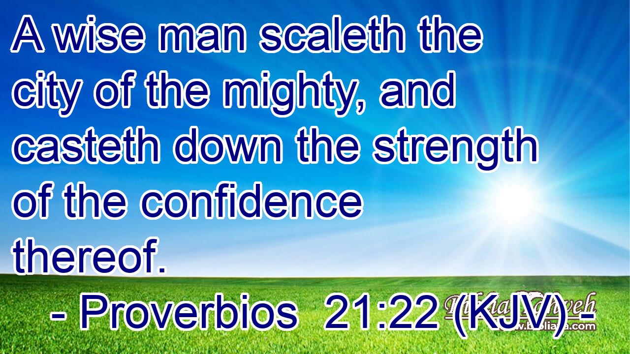 A wise man scaleth the city of the mighty, and casteth down the strength of the confidence thereof.