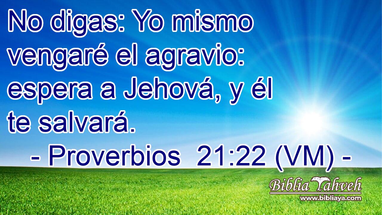  No digas: Yo mismo vengaré el agravio: espera a Jehová, y él te salvará. 