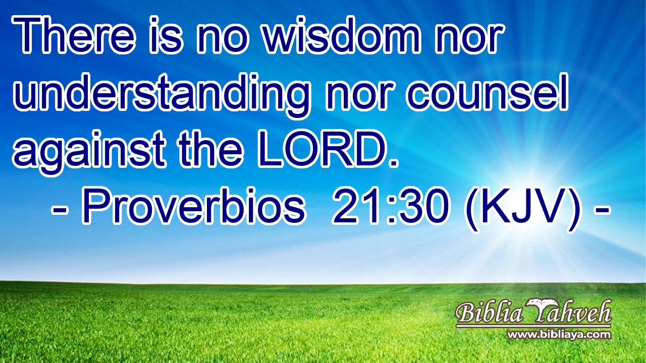 There is no wisdom nor understanding nor counsel against the LORD.