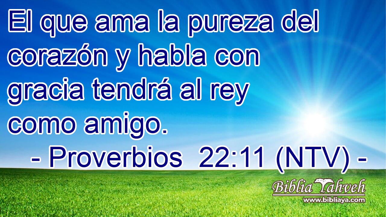 El que ama la pureza del corazón y habla con gracia tendrá al rey como amigo.