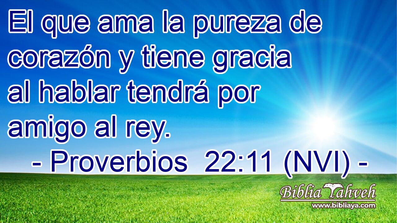  El que ama la pureza de corazón y tiene gracia al hablar tendrá por amigo al rey. 