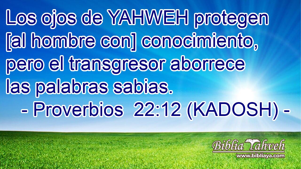 Los ojos de YAHWEH protegen [al hombre con] conocimiento, pero el transgresor aborrece las palabras sabias. 