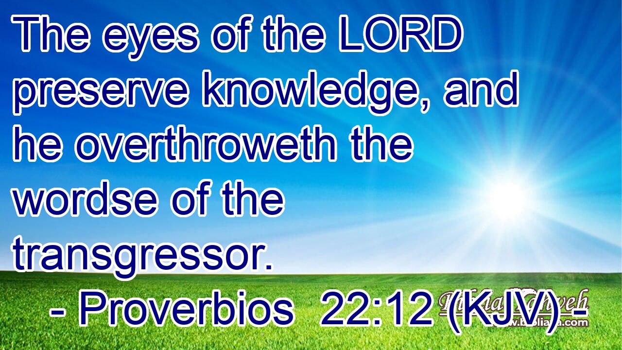 The eyes of the LORD preserve knowledge, and he overthroweth the wordse of the transgressor.