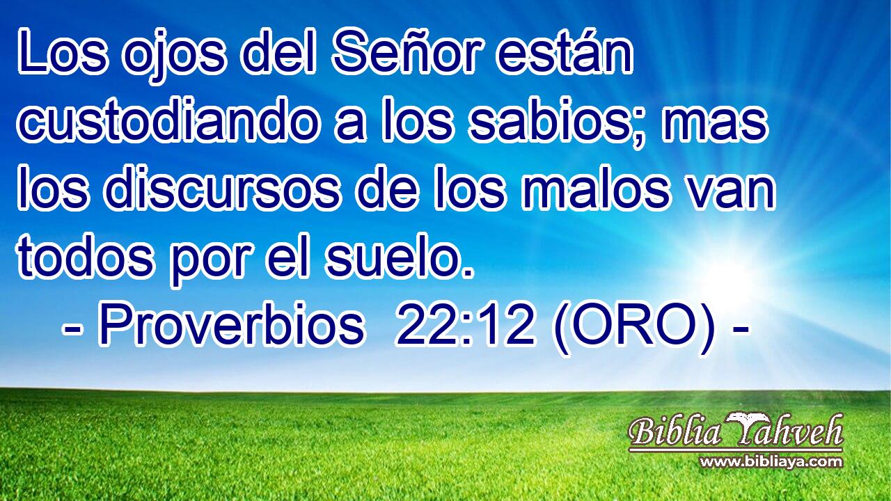  Los ojos del Señor están custodiando a los sabios; mas los discursos de los malos van todos por el suelo. 