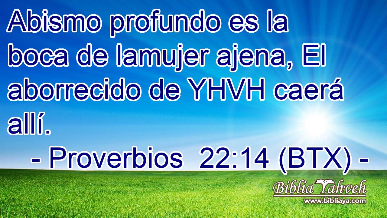 Abismo profundo es la boca de lamujer ajena, El aborrecido de YHVH caerá allí.