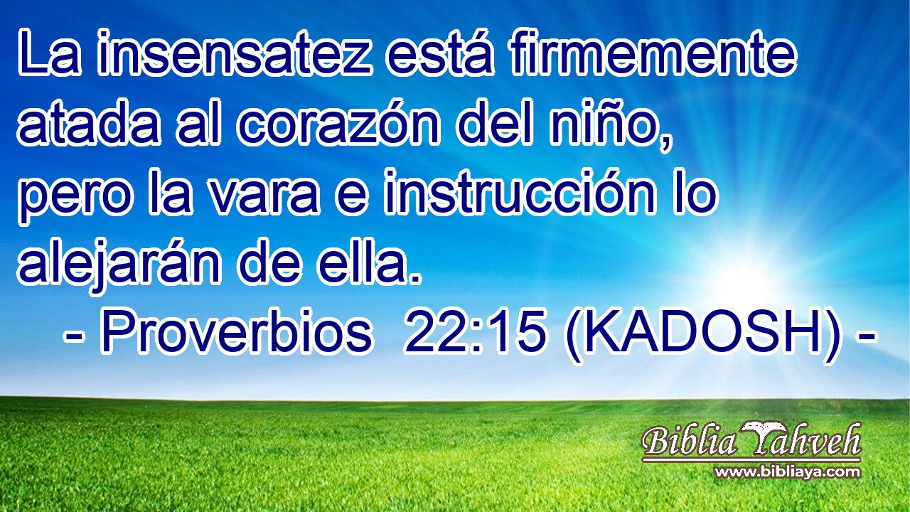  La insensatez está firmemente atada al corazón del niño, pero la vara e instrucción lo alejarán de ella. 