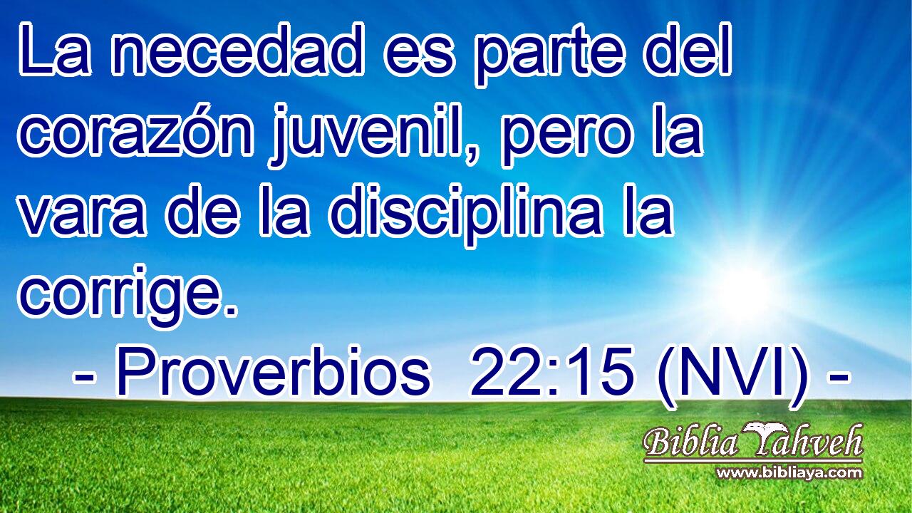  La necedad es parte del corazón juvenil, pero la vara de la disciplina la corrige. 