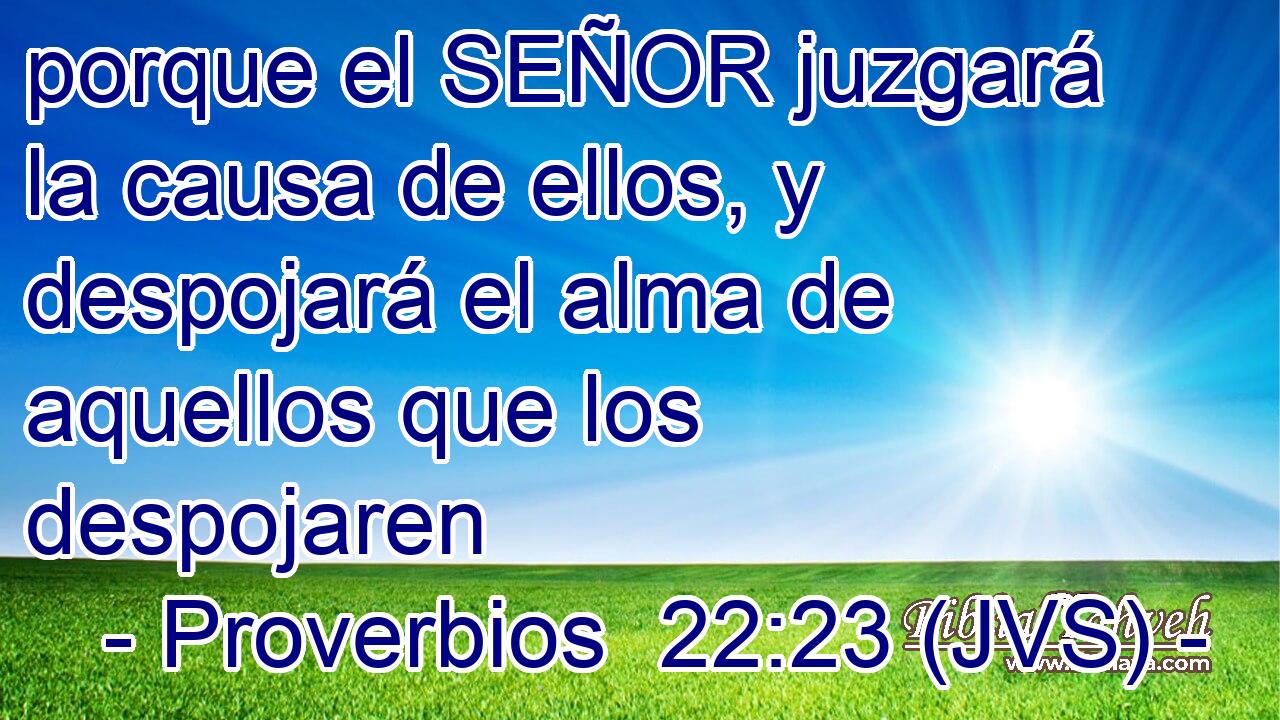 porque el SEÑOR juzgará la causa de ellos, y despojará el alma de aquellos que los despojaren