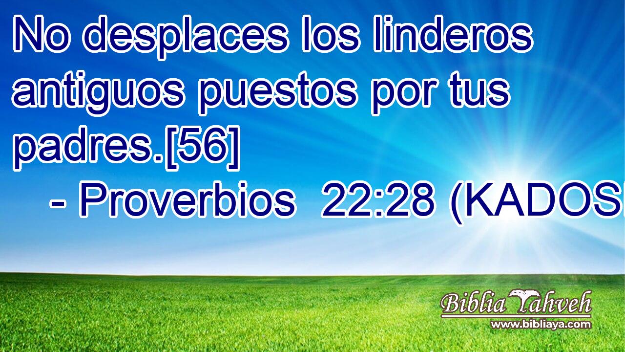 No desplaces los linderos antiguos puestos por tus padres.[56] 