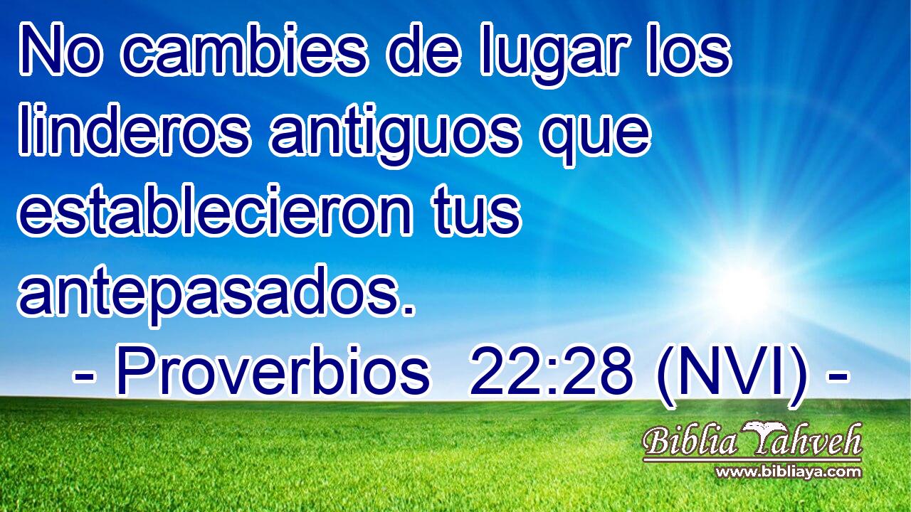  No cambies de lugar los linderos antiguos que establecieron tus antepasados. 