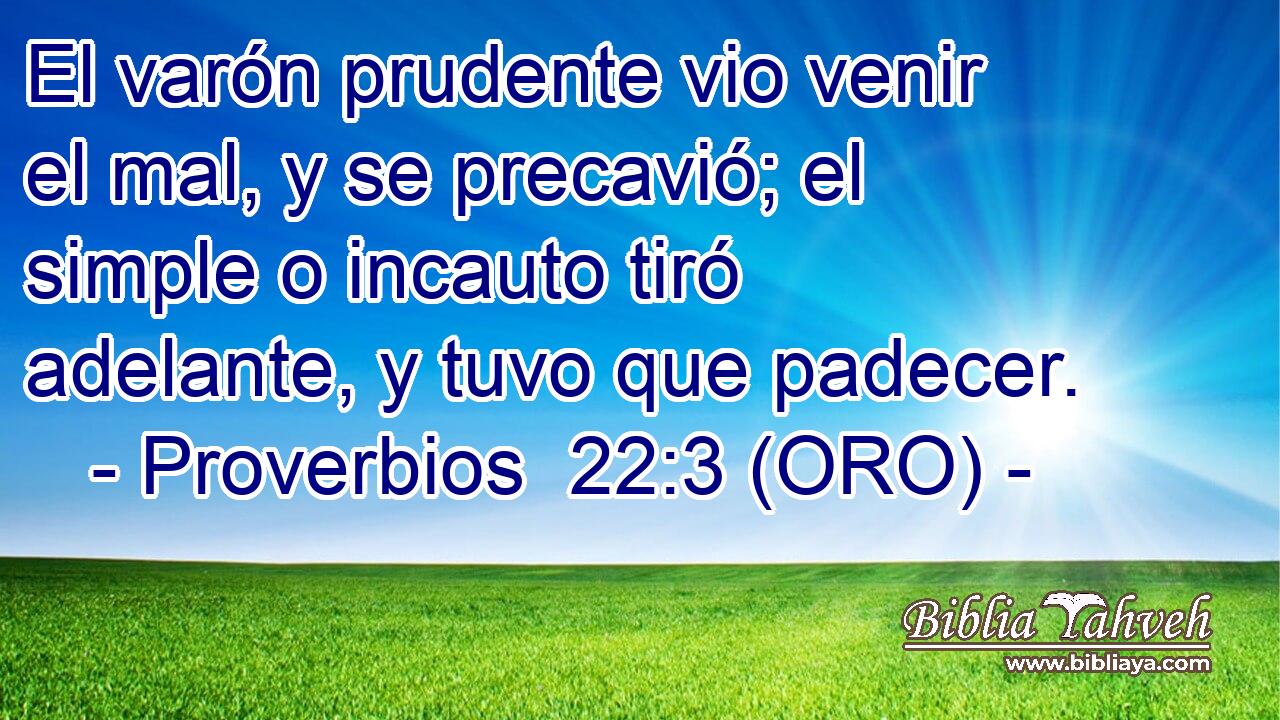  El varón prudente vio venir el mal, y se precavió; el simple o incauto tiró adelante, y tuvo que padecer. 