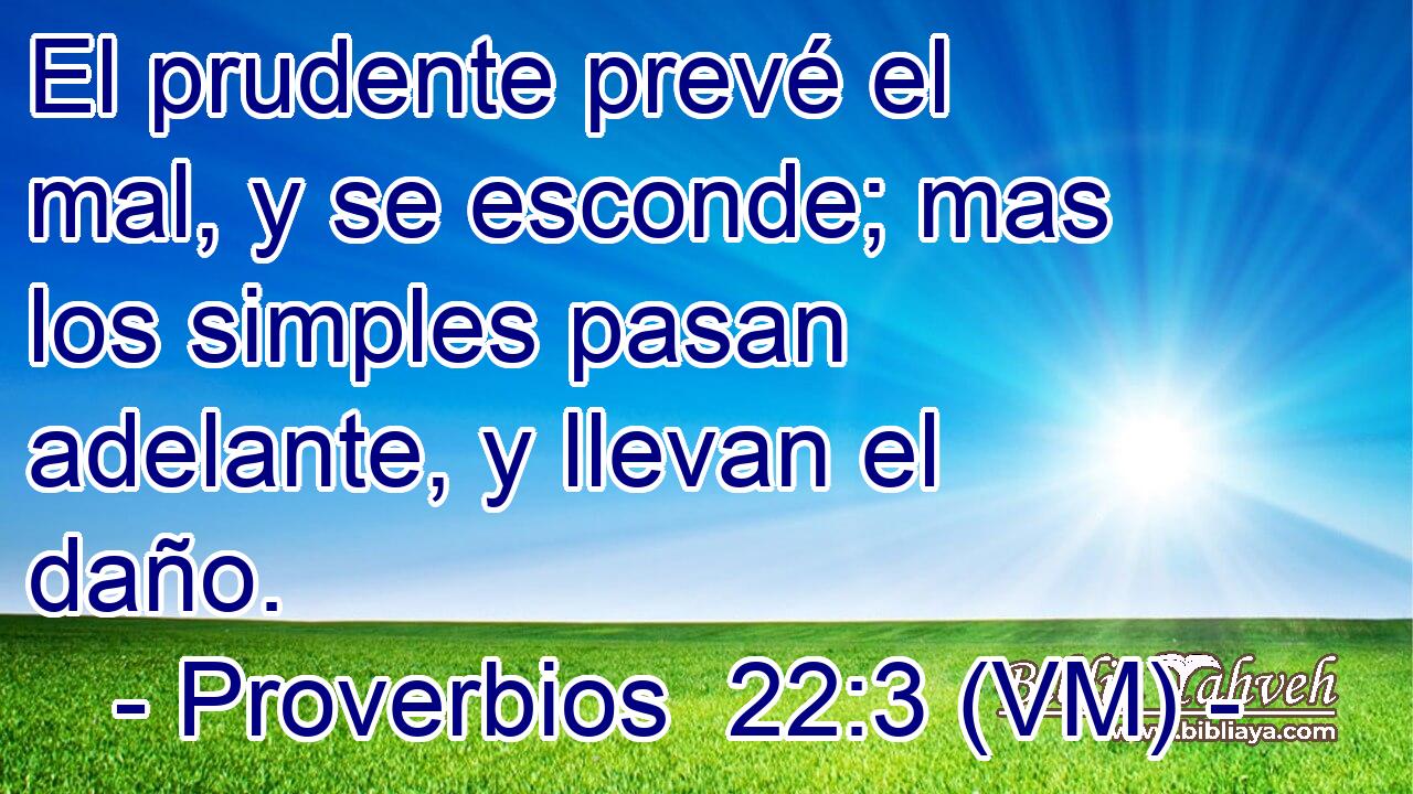  El prudente prevé el mal, y se esconde; mas los simples pasan adelante, y llevan el daño. 