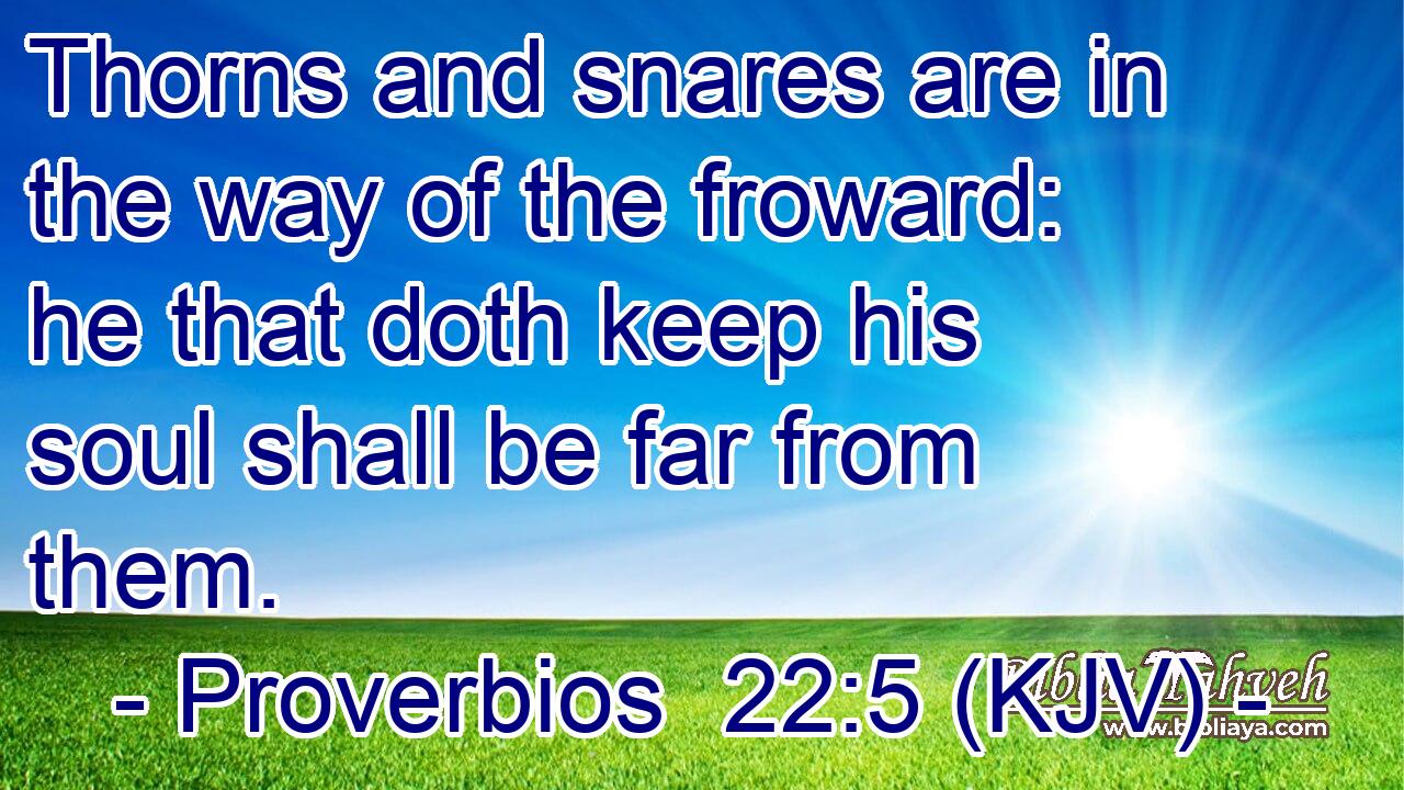Thorns and snares are in the way of the froward: he that doth keep his soul shall be far from them.
