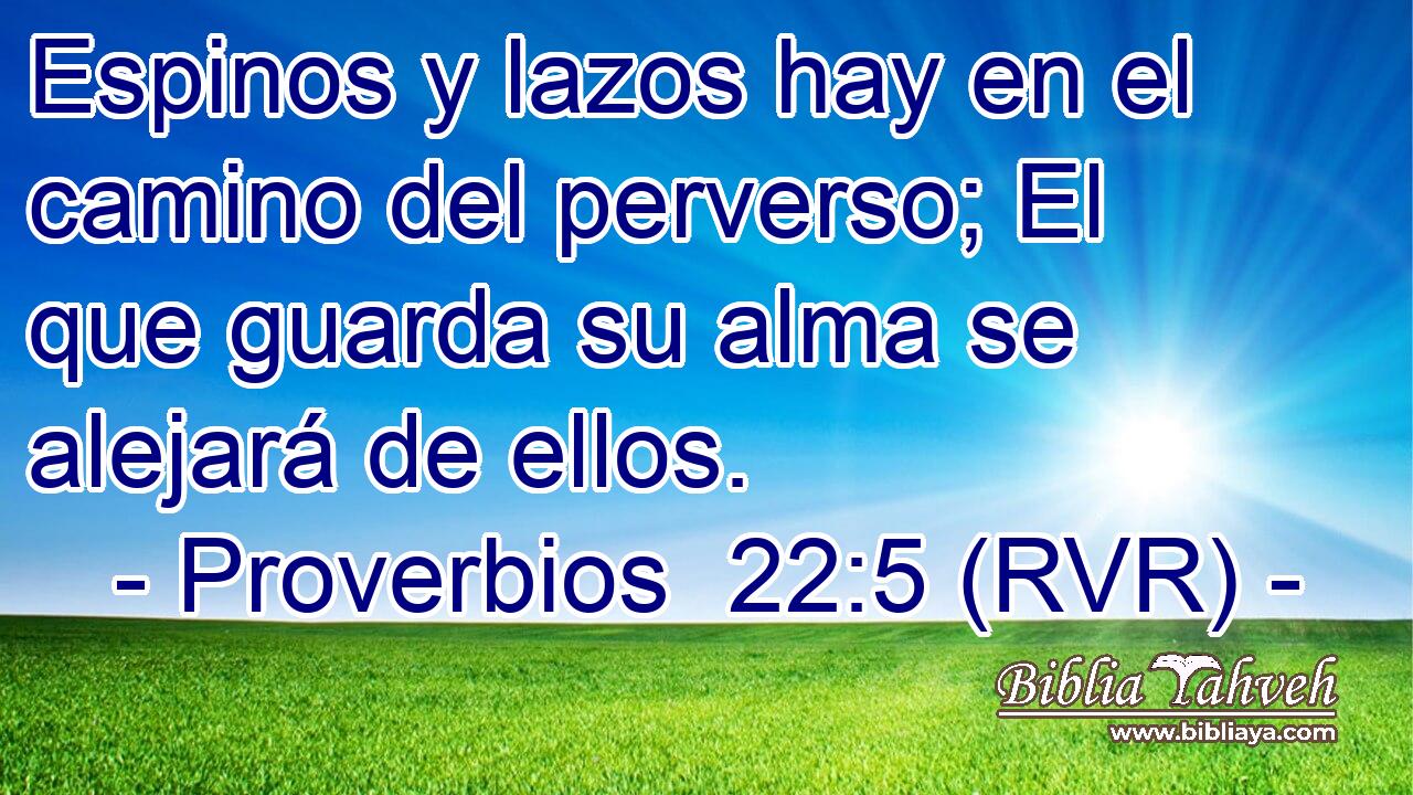 Espinos y lazos hay en el camino del perverso; El que guarda su alma se alejará de ellos.