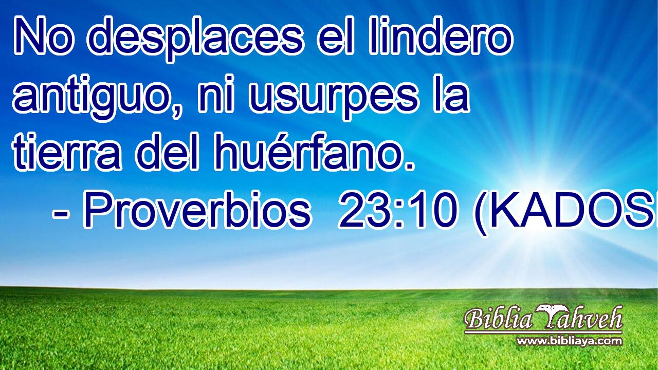  No desplaces el lindero antiguo, ni usurpes la tierra del huérfano. 