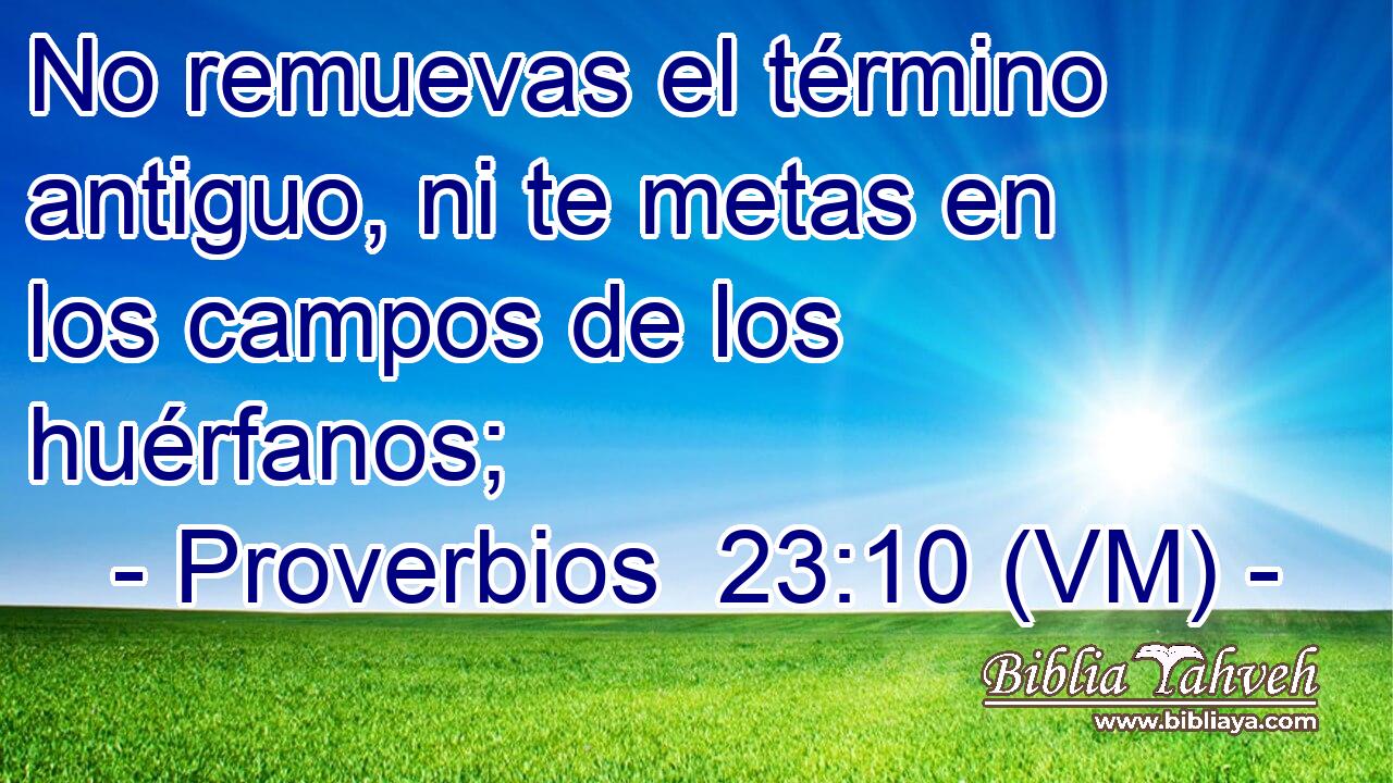  No remuevas el término antiguo, ni te metas en los campos de los huérfanos; 