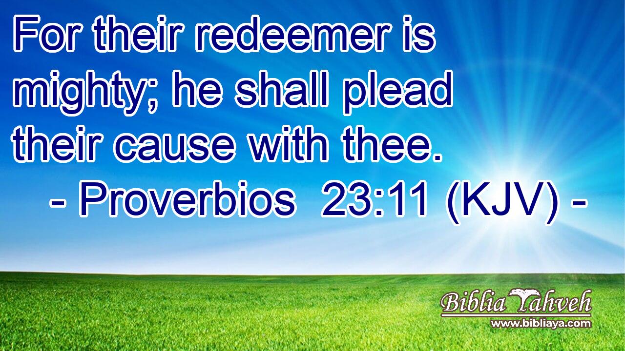 For their redeemer is mighty; he shall plead their cause with thee.