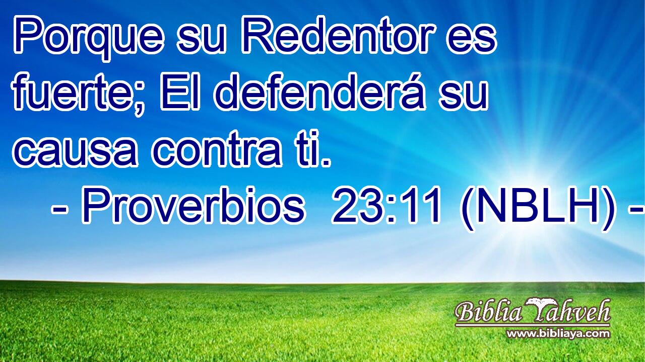  Porque su Redentor es fuerte; El defenderá su causa contra ti. 