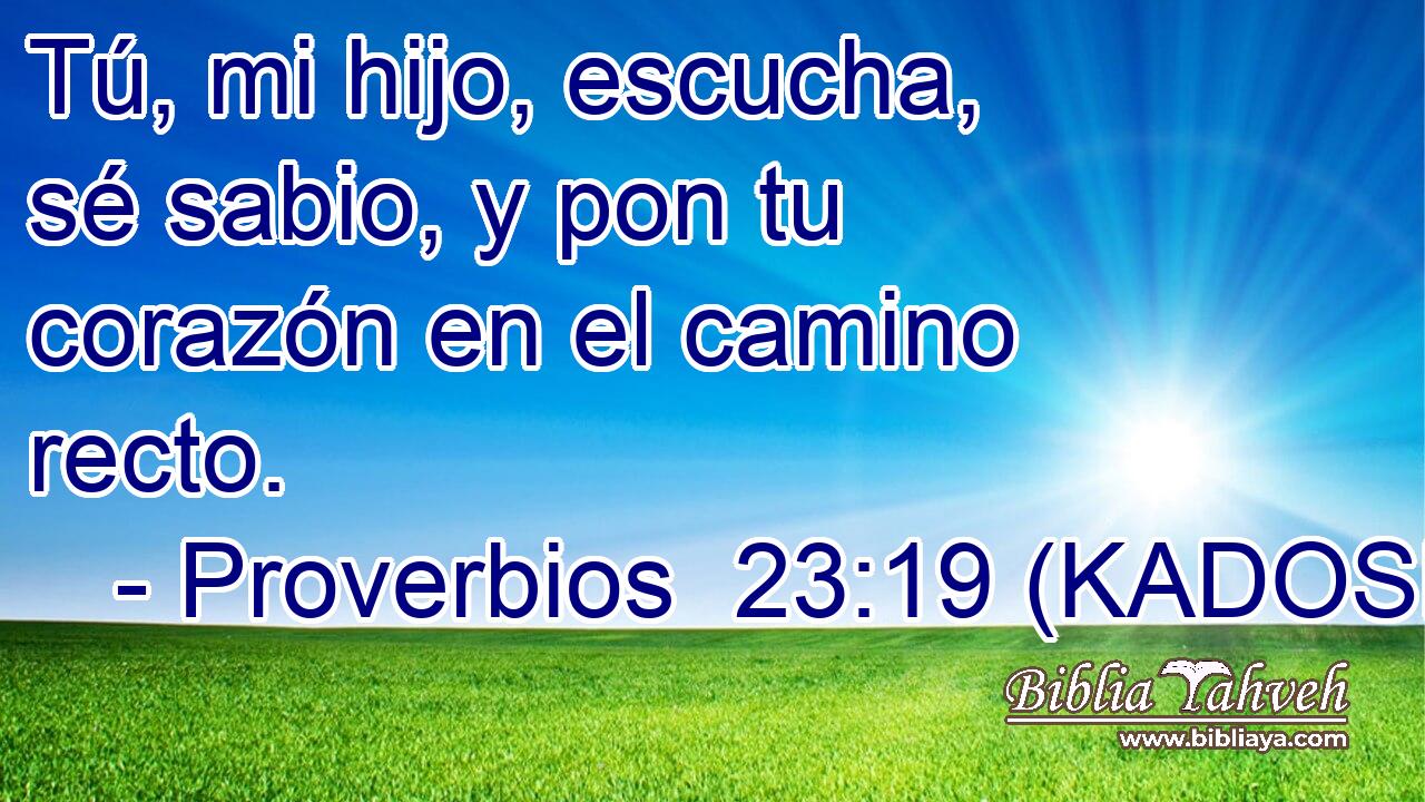  Tú, mi hijo, escucha, sé sabio, y pon tu corazón en el camino recto. 