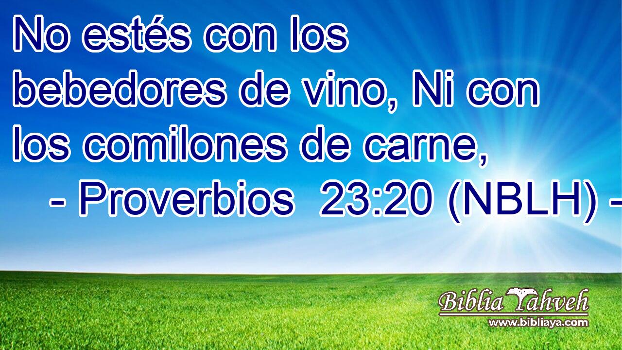  No estés con los bebedores de vino, Ni con los comilones de carne, 