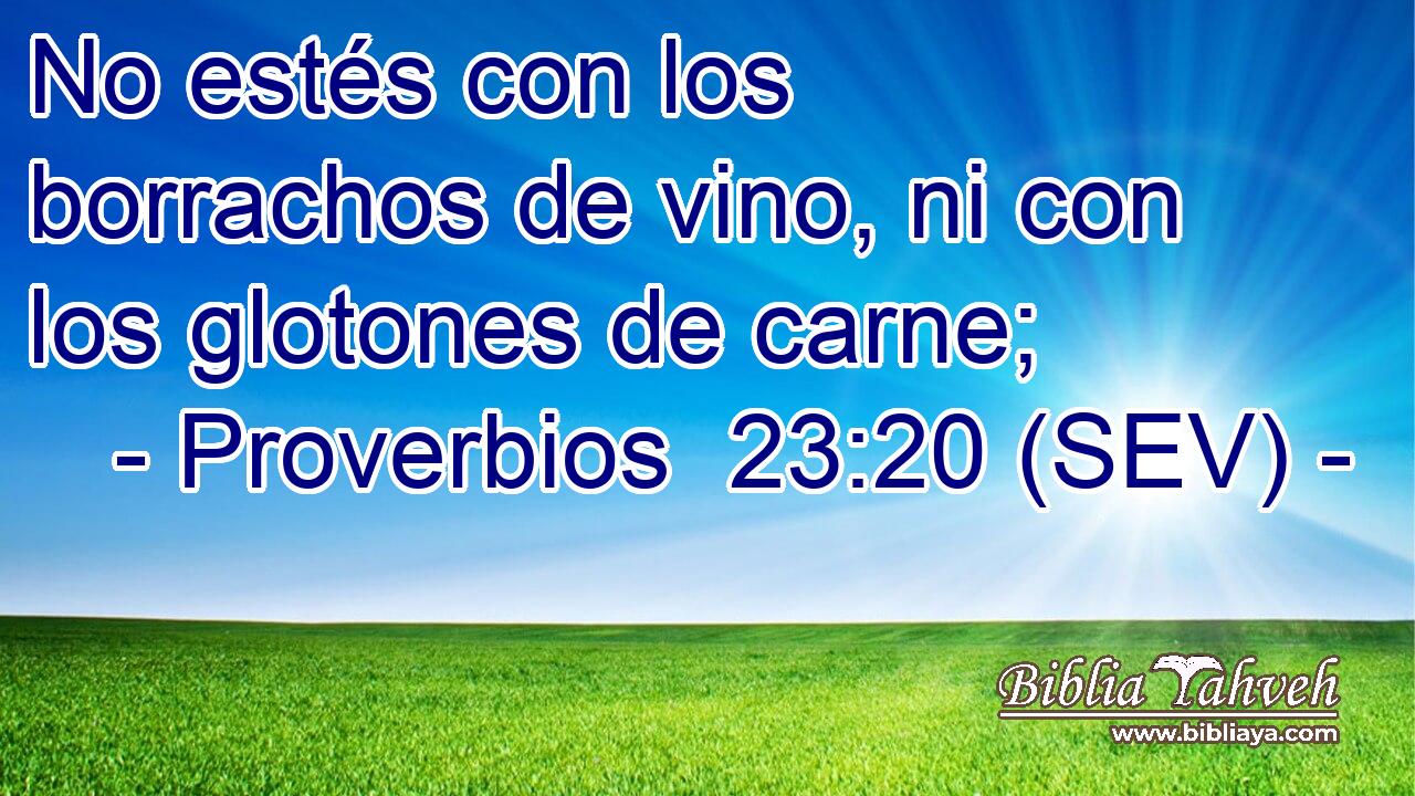 No estés con los borrachos de vino, ni con los glotones de carne;