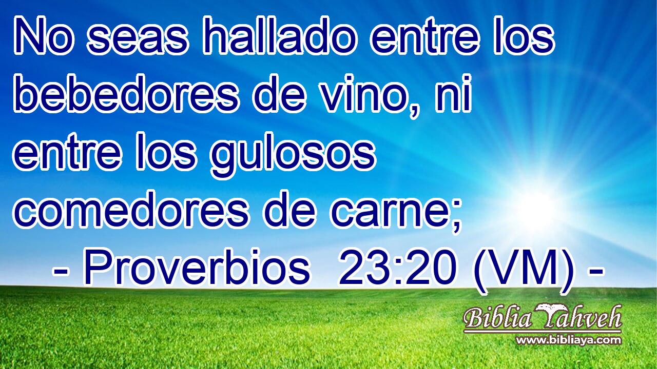  No seas hallado entre los bebedores de vino, ni entre los gulosos comedores de carne; 