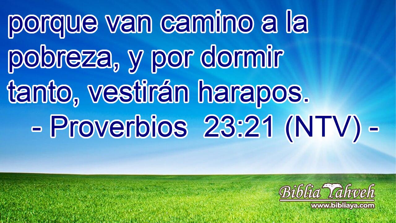 porque van camino a la pobreza, y por dormir tanto, vestirán harapos.