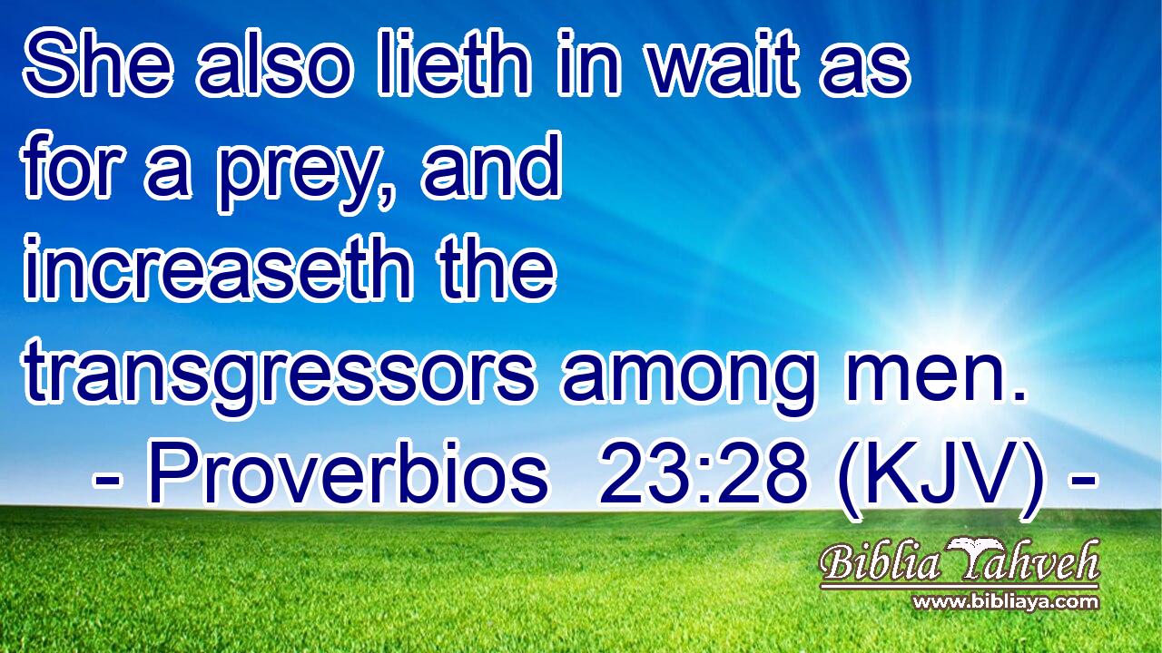 She also lieth in wait as for a prey, and increaseth the transgressors among men.