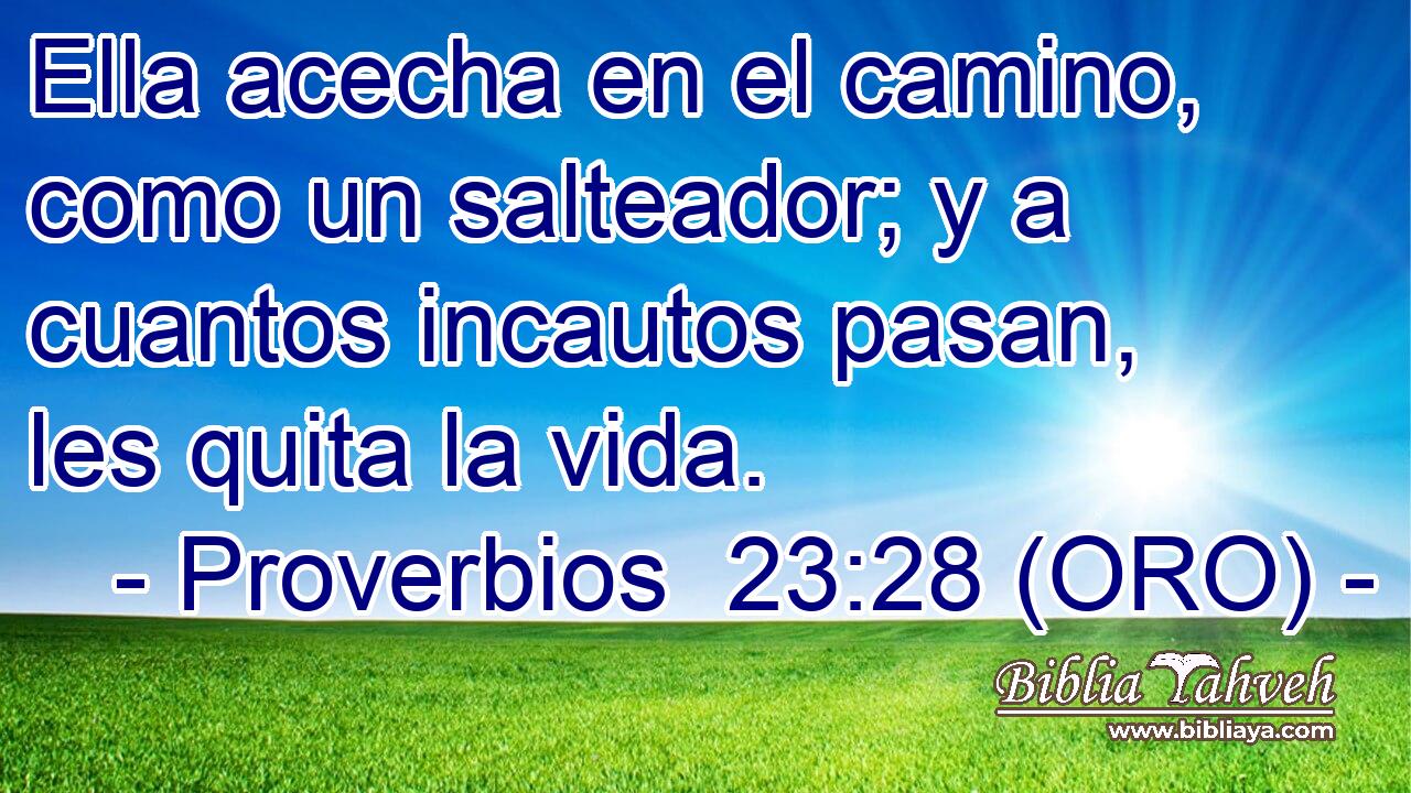  Ella acecha en el camino, como un salteador; y a cuantos incautos pasan, les quita la vida. 