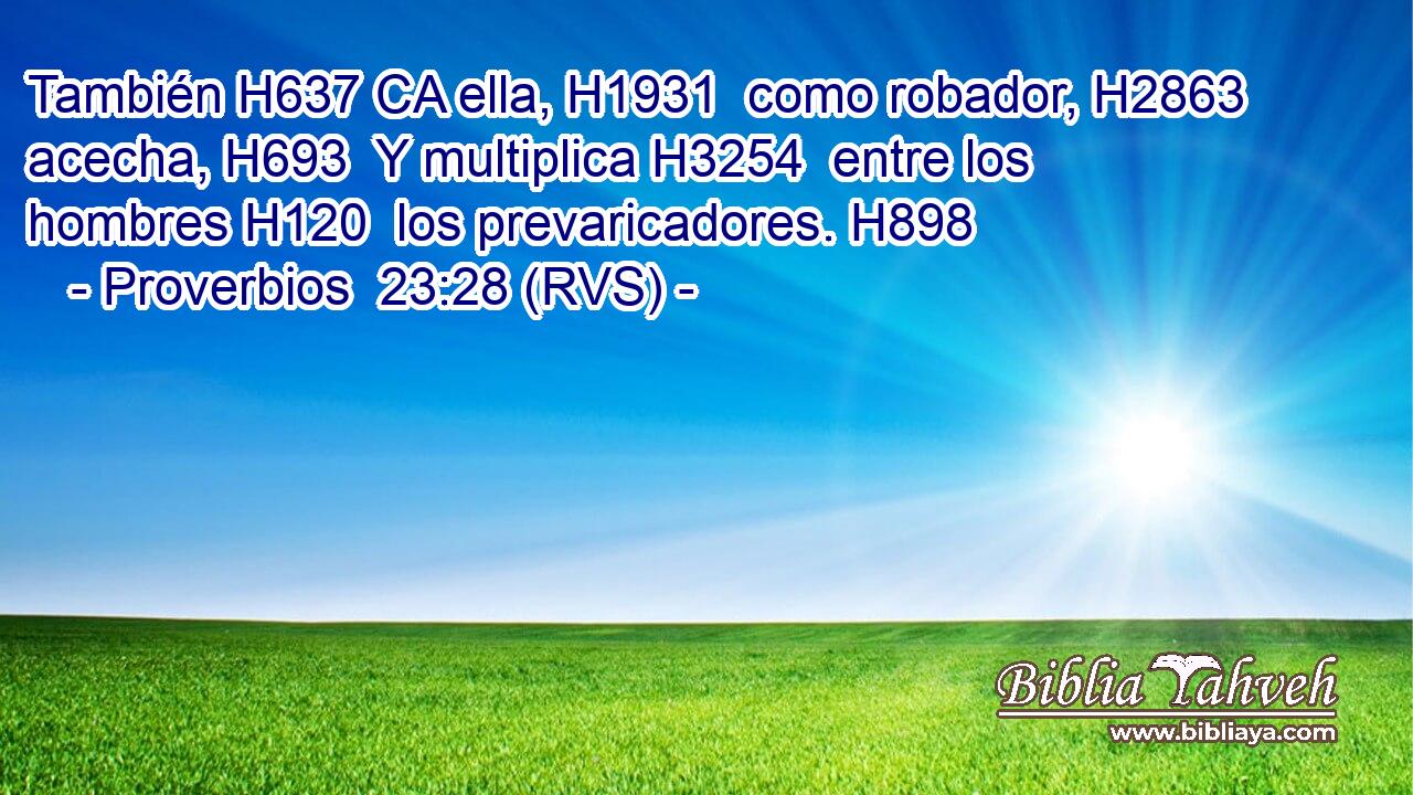 También H637 CA ella, H1931  como robador, H2863  acecha, H693  Y multiplica H3254  entre los hombres H120  los prevaricadores. H898  