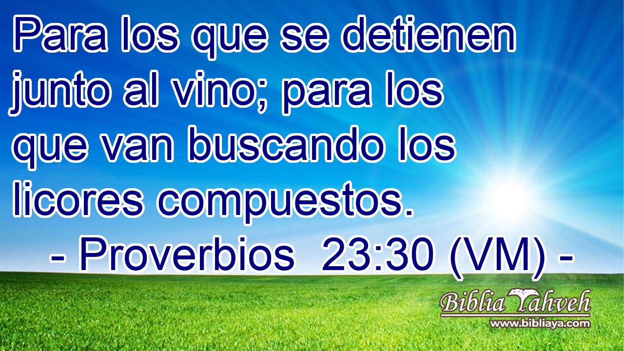  Para los que se detienen junto al vino; para los que van buscando los licores compuestos. 