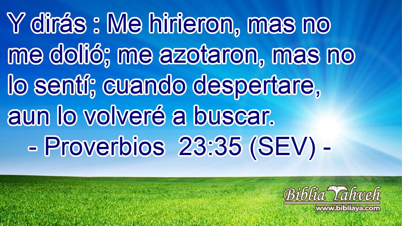 Y dirás : Me hirieron, mas no me dolió; me azotaron, mas no lo sentí; cuando despertare, aun lo volveré a buscar.