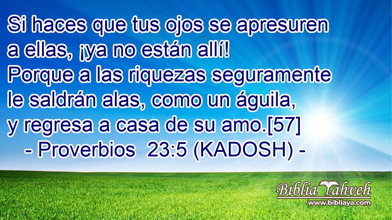  Si haces que tus ojos se apresuren a ellas, ¡ya no están allí! Porque a las riquezas seguramente le saldrán alas, como un águila, y regresa a casa de su amo.[57] 
