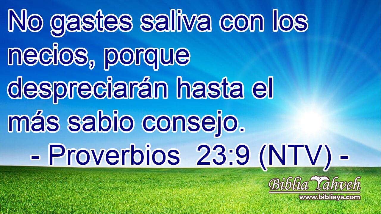 No gastes saliva con los necios, porque despreciarán hasta el más sabio consejo.