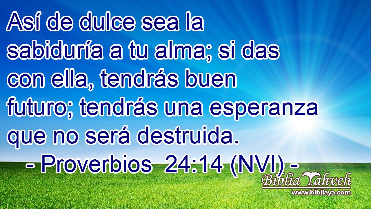  Así de dulce sea la sabiduría a tu alma; si das con ella, tendrás buen futuro; tendrás una esperanza que no será destruida. 