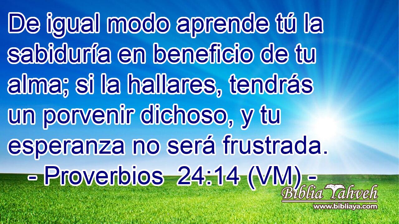 De igual modo aprende tú la sabiduría en beneficio de tu alma; si la hallares, tendrás un porvenir dichoso, y tu esperanza no será frustrada. 