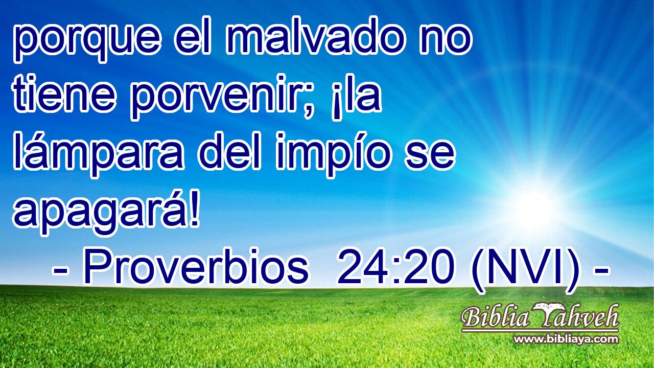  porque el malvado no tiene porvenir; ¡la lámpara del impío se apagará! 